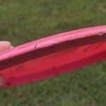 Nicks and WEar in Inexpensive Disc Practice